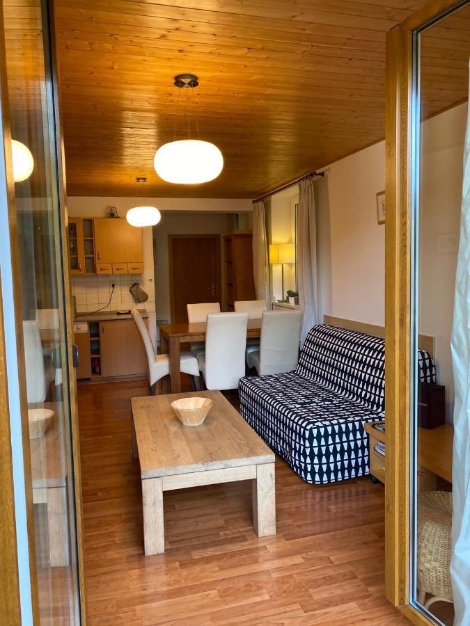 Apartmán Poustevnik
