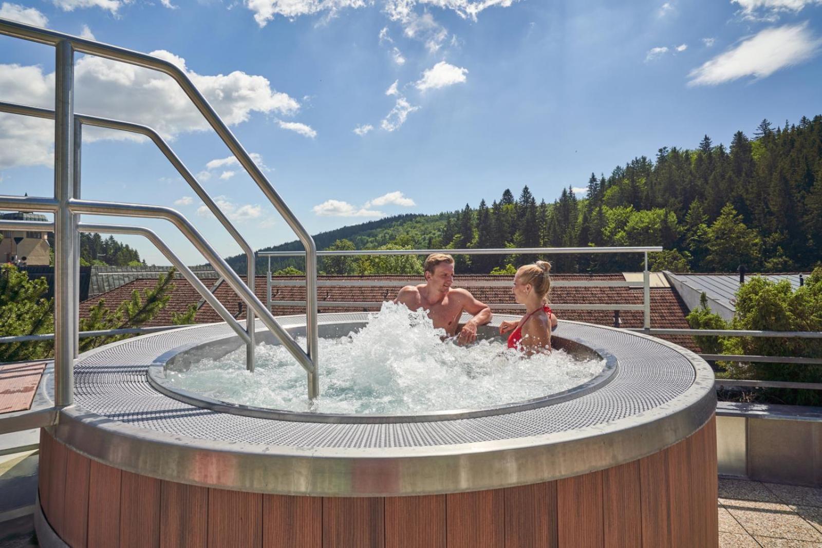 Apartmán Poustevnik